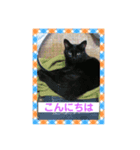 りいのすけスタンプ コーギーとクロネコ（個別スタンプ：2）