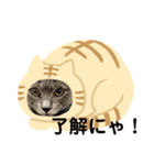 りいのすけスタンプ コーギーとクロネコ（個別スタンプ：6）
