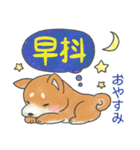 広東語＆日本語 バイリンガル柴犬スタンプ（個別スタンプ：3）