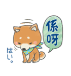 広東語＆日本語 バイリンガル柴犬スタンプ（個別スタンプ：13）