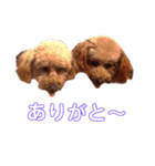 そらあずの日常Ⅱ    ときどき やまたい（個別スタンプ：7）