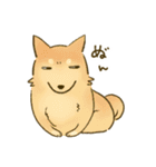 私立くめあめようちえん！（個別スタンプ：15）