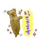 おハクさん( ・∇・)（個別スタンプ：3）
