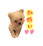 おハクさん( ・∇・)（個別スタンプ：6）