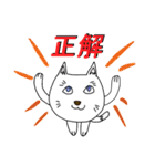 白猫のポヨタ（個別スタンプ：12）