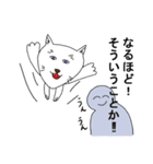 白猫のポヨタ（個別スタンプ：17）