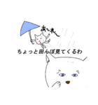 白猫のポヨタ（個別スタンプ：20）