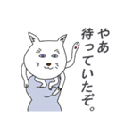 白猫のポヨタ（個別スタンプ：31）