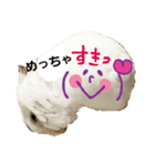 癒されスタンプ！（個別スタンプ：1）