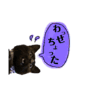 黒猫のビビのスタンプ③ちょっと出雲弁ver.（個別スタンプ：10）