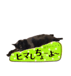 黒猫のビビのスタンプ③ちょっと出雲弁ver.（個別スタンプ：11）