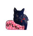 黒猫のビビのスタンプ③ちょっと出雲弁ver.（個別スタンプ：16）
