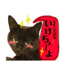 黒猫のビビのスタンプ③ちょっと出雲弁ver.（個別スタンプ：17）