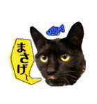 黒猫のビビのスタンプ③ちょっと出雲弁ver.（個別スタンプ：18）