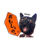 黒猫のビビのスタンプ③ちょっと出雲弁ver.（個別スタンプ：19）