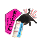 黒猫のビビのスタンプ③ちょっと出雲弁ver.（個別スタンプ：20）