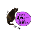 黒猫のビビのスタンプ③ちょっと出雲弁ver.（個別スタンプ：22）