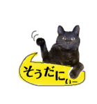 黒猫のビビのスタンプ③ちょっと出雲弁ver.（個別スタンプ：24）