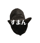 簡単に済ませるくろねこ（個別スタンプ：2）