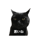 簡単に済ませるくろねこ（個別スタンプ：4）