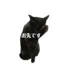 簡単に済ませるくろねこ（個別スタンプ：8）