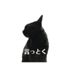 簡単に済ませるくろねこ（個別スタンプ：9）