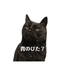 簡単に済ませるくろねこ（個別スタンプ：32）
