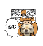 メンコのジョウタロウとヒナコ（個別スタンプ：10）