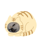 メンコのジョウタロウとヒナコ（個別スタンプ：14）
