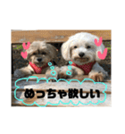 れいあみ2（個別スタンプ：1）