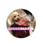 れいあみ2（個別スタンプ：2）
