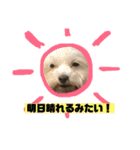 れいあみ2（個別スタンプ：4）