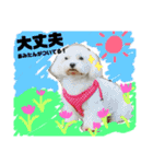 れいあみ2（個別スタンプ：6）