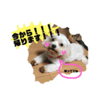 れいあみ2（個別スタンプ：10）