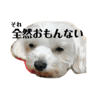 れいあみ2（個別スタンプ：13）
