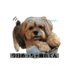 れいあみ2（個別スタンプ：14）