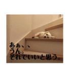 れいあみ2（個別スタンプ：15）