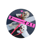 れいあみ2（個別スタンプ：16）