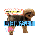 れいあみ2（個別スタンプ：21）