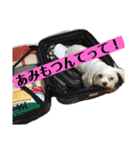 れいあみ2（個別スタンプ：23）