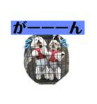 れいあみ2（個別スタンプ：28）