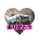 れいあみ2（個別スタンプ：29）