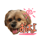 れいあみ2（個別スタンプ：33）