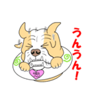 ネコUFO＆ブルUFO（個別スタンプ：24）