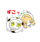 ネコUFO＆ブルUFO（個別スタンプ：38）