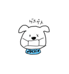 犬のジャッキー（個別スタンプ：9）