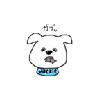 犬のジャッキー（個別スタンプ：14）