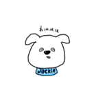 犬のジャッキー（個別スタンプ：25）