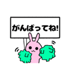 プレートうさぎ。（個別スタンプ：14）