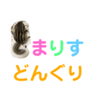 シマリス どんぐり 特別版（個別スタンプ：8）